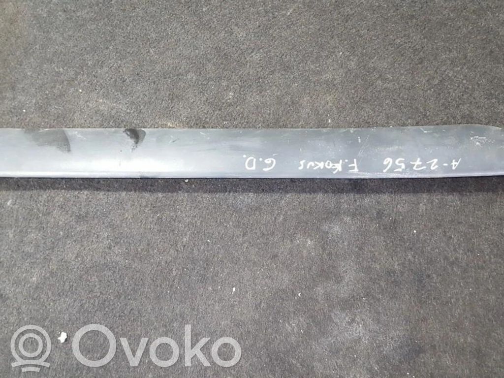 Ford Focus Rear door trim (molding) 