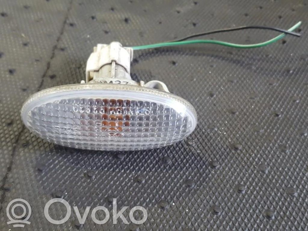 Seitenblinker   P2829,010635,010635,P2829