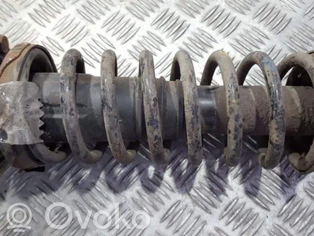 Front coil spring