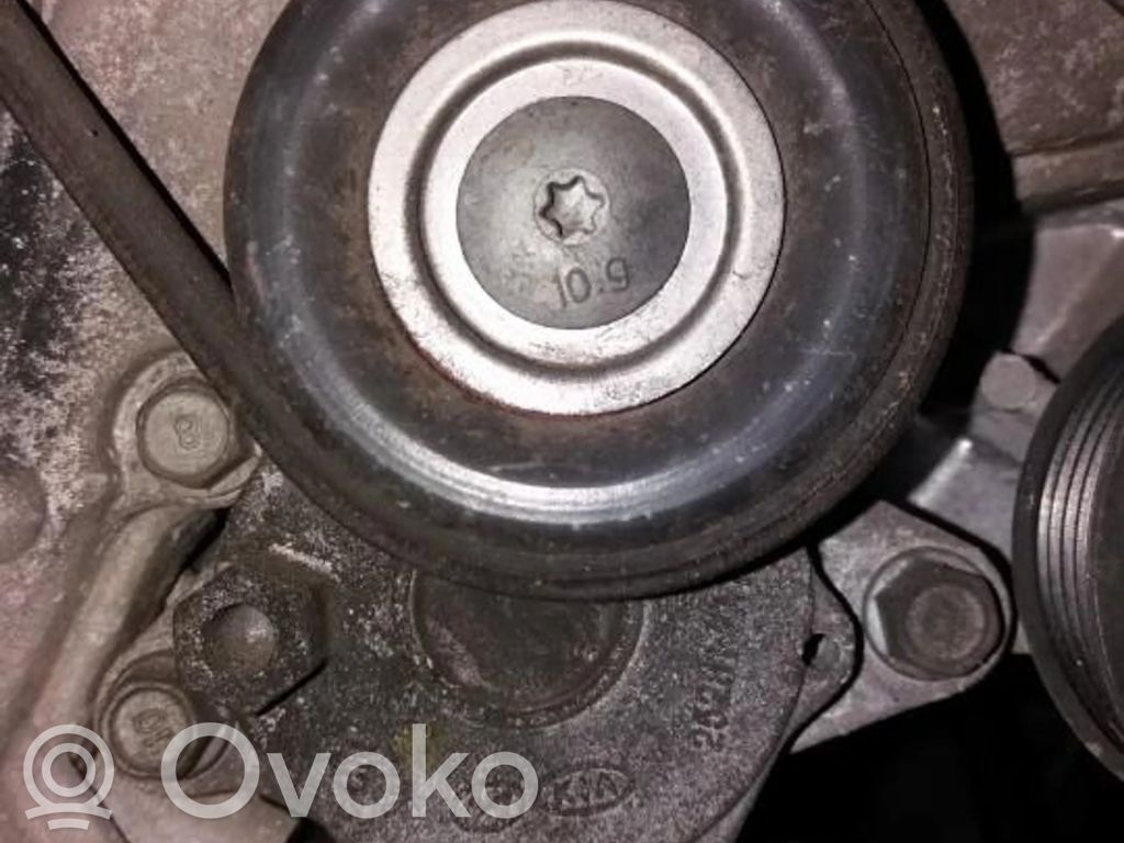 Diržo įtempėjas   252812A100,252812A100