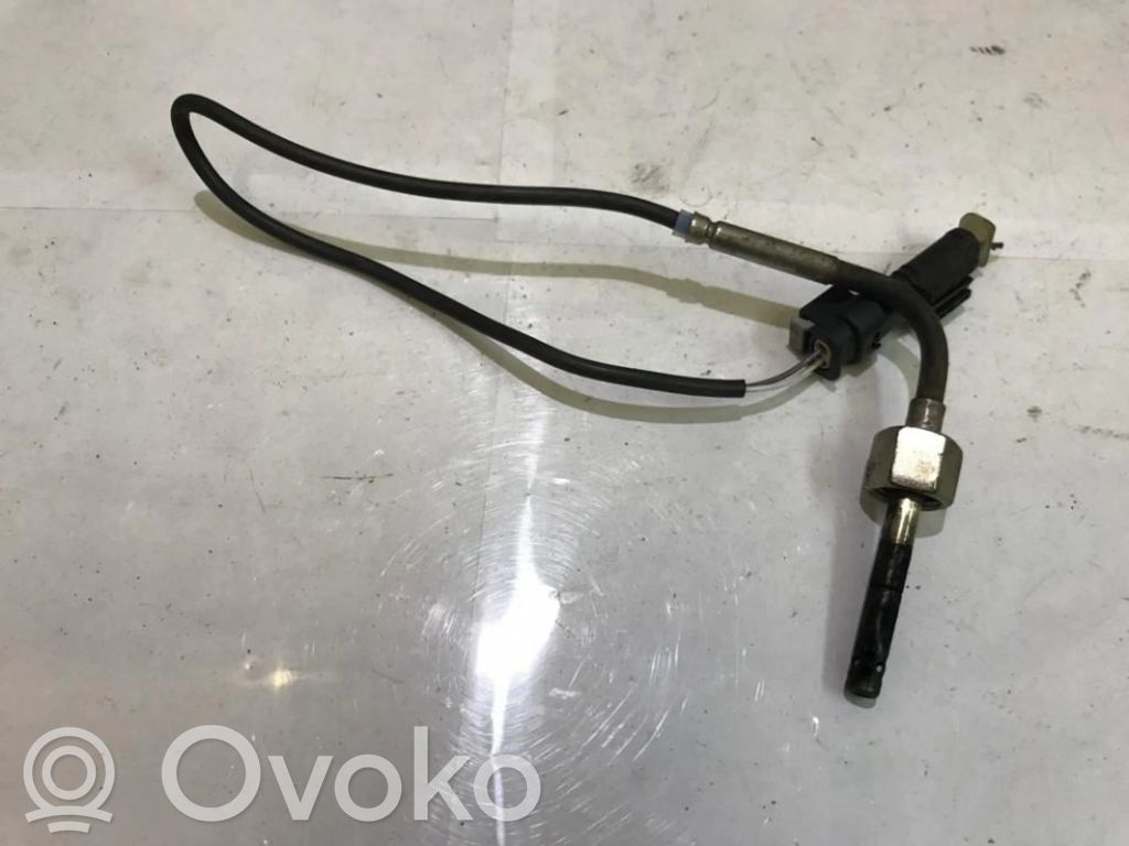 Abgastemperatursensor   A0009054005,A0009054005