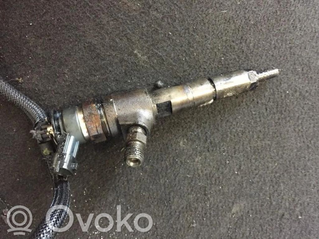 Injector combustibil   786280,0445110135,0445110135,786280
