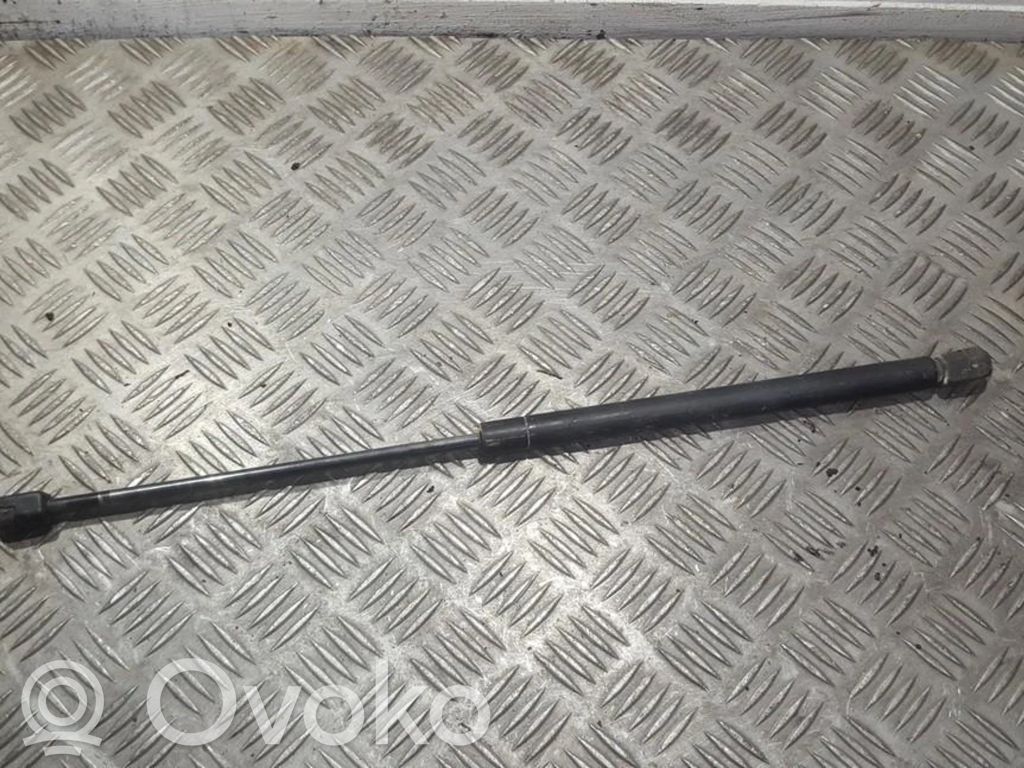 Tailgate/trunk strut/damper