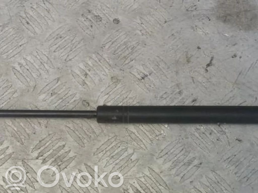 Opel Signum Ammortizzatore portellone anteriore/cofano 