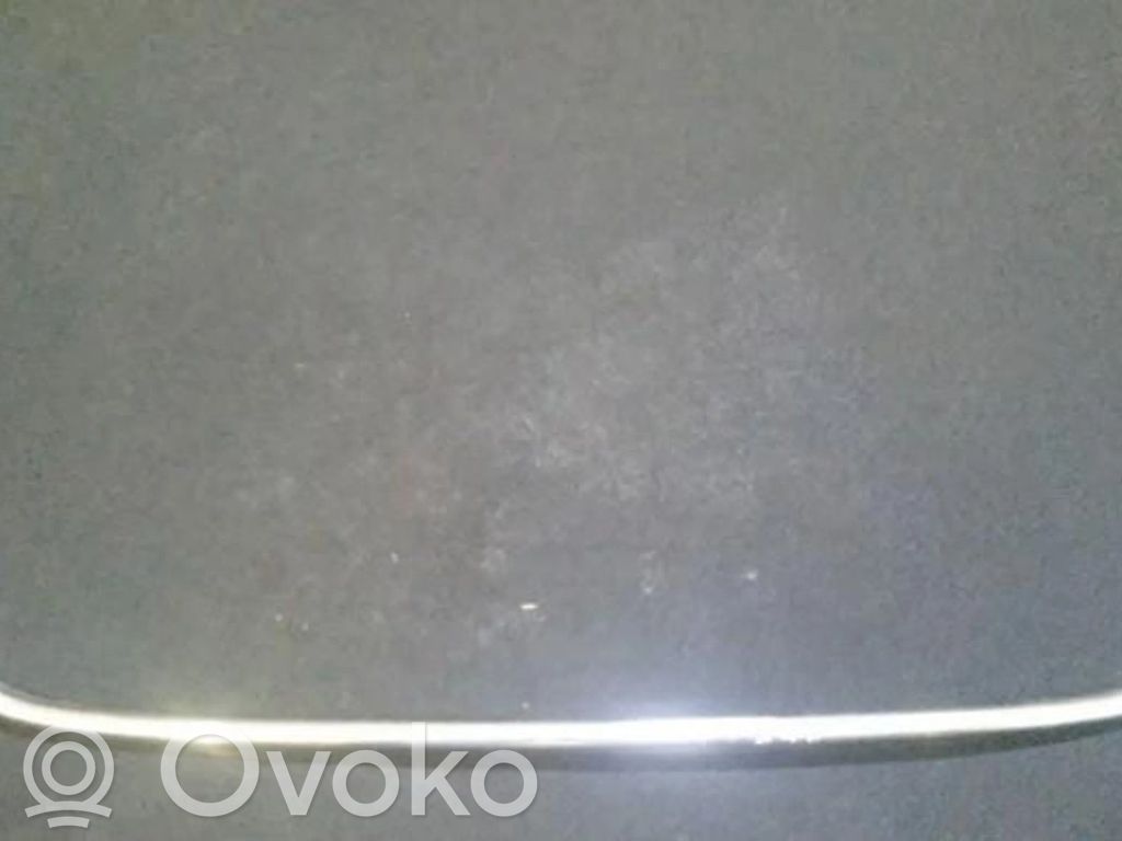 Reflektor vorne