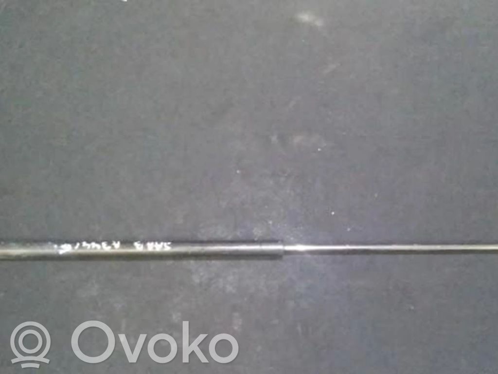 Siłownik maski przedniej   53571E0200N131,4855128,4855128,53571E0200N131