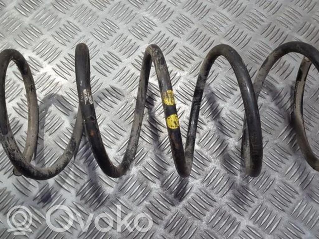 Front coil spring