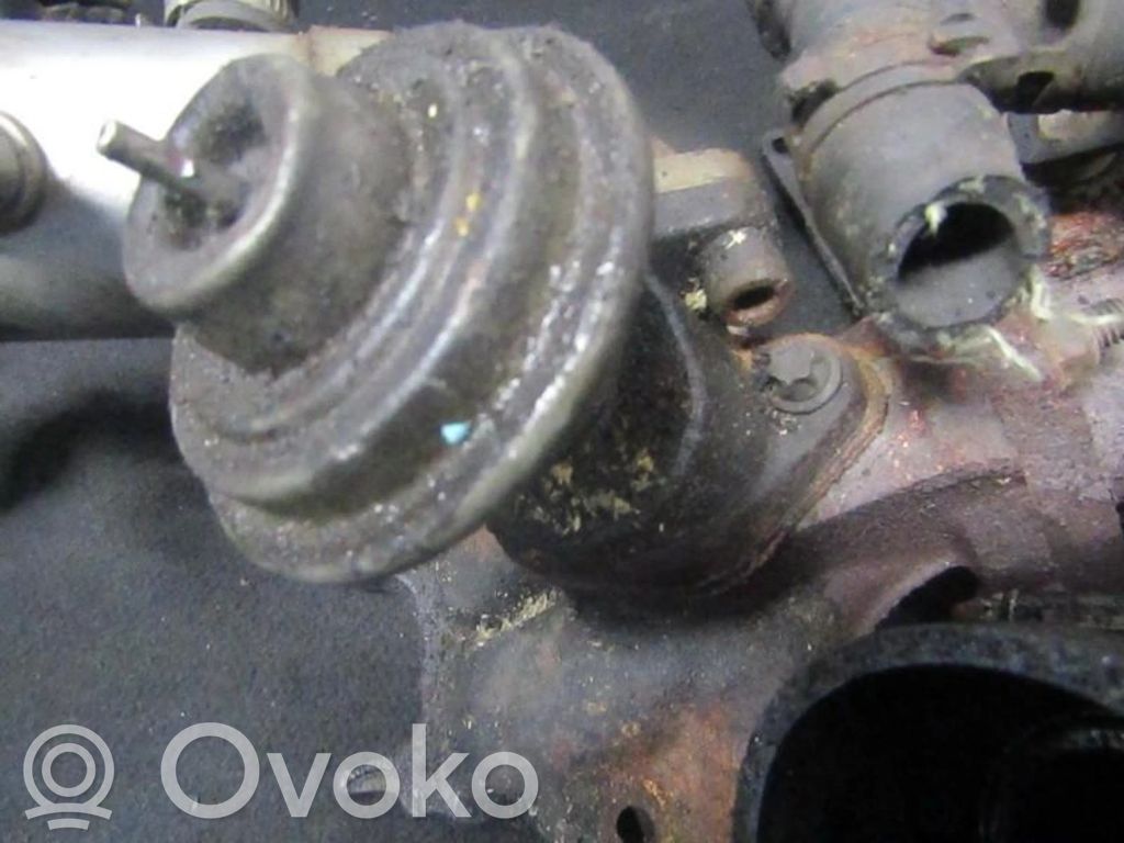 EGR valve