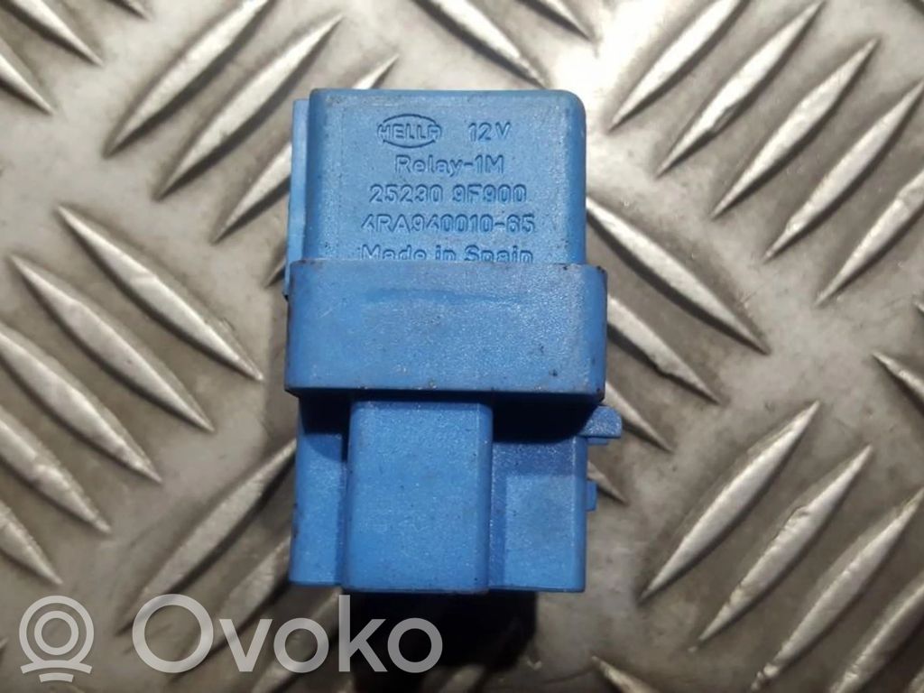 Altri relè   252309F900,4RA94001065,252309F900,4RA94001065,4RA94001065