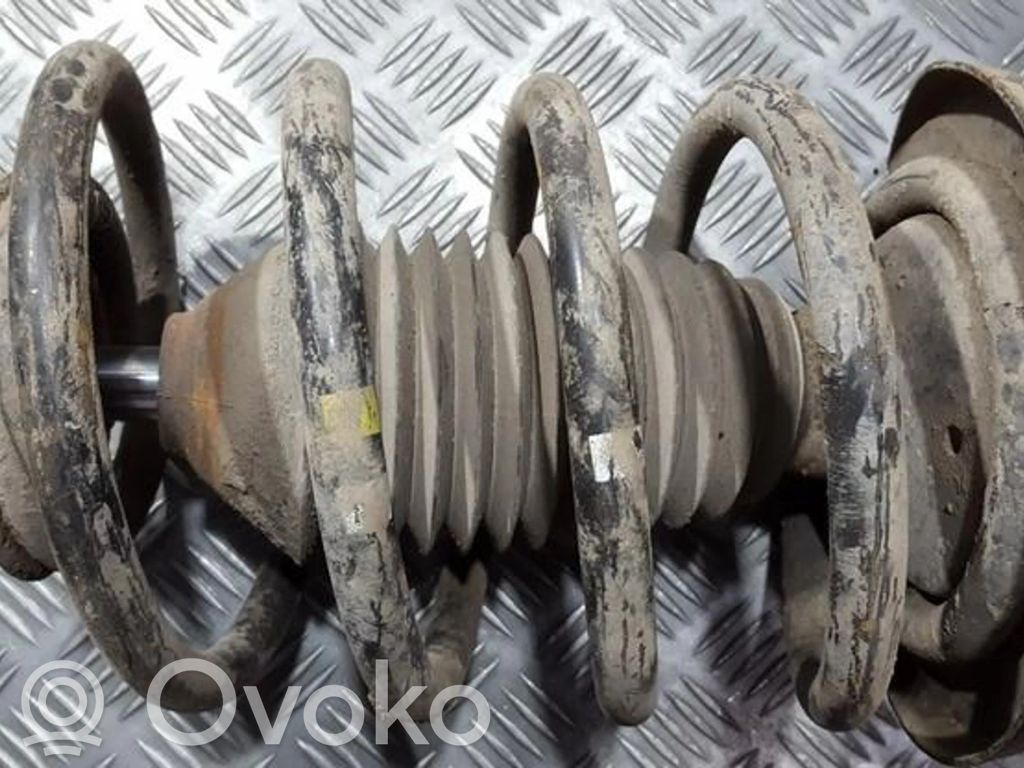 Front coil spring