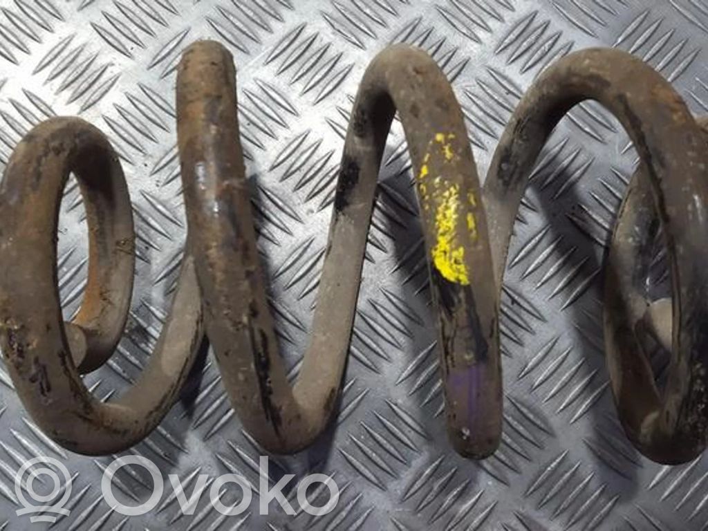 Front coil spring