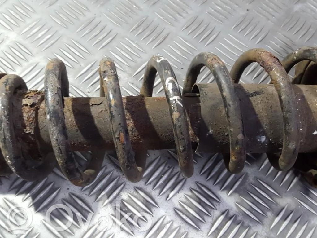 Rear coil spring