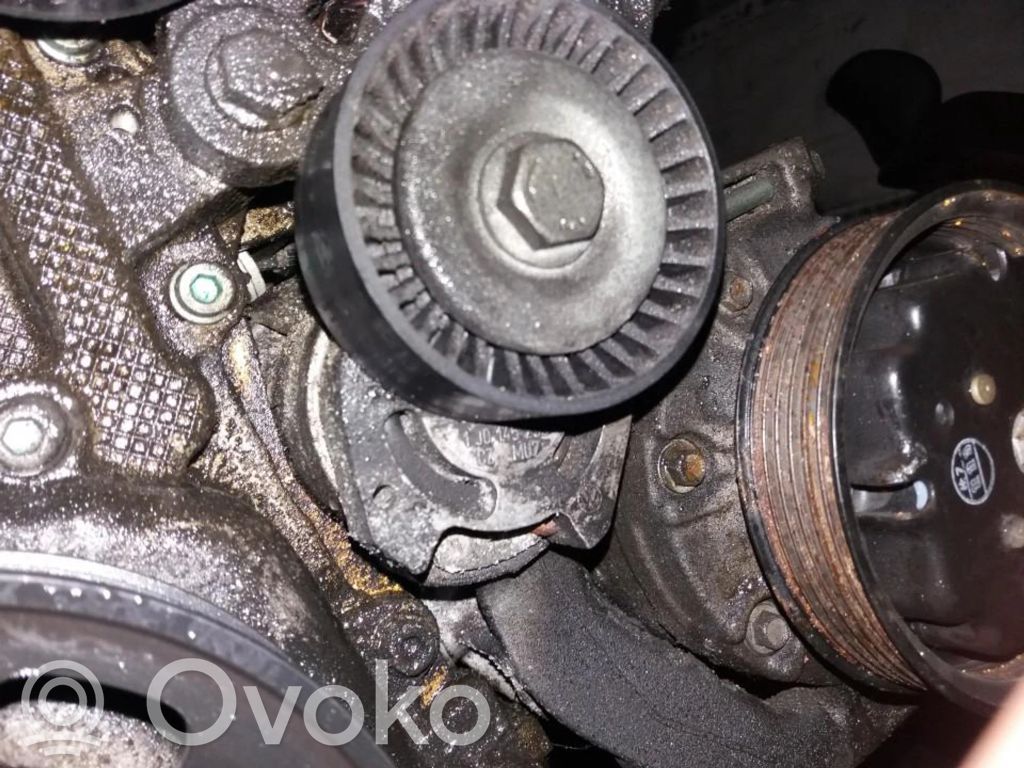 Volkswagen Golf V Tendicinghia generatore/alternatore