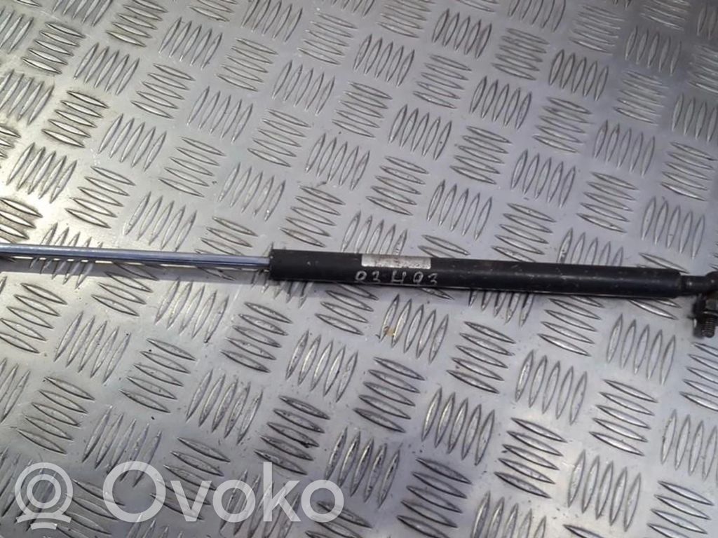 Tailgate/trunk strut/damper