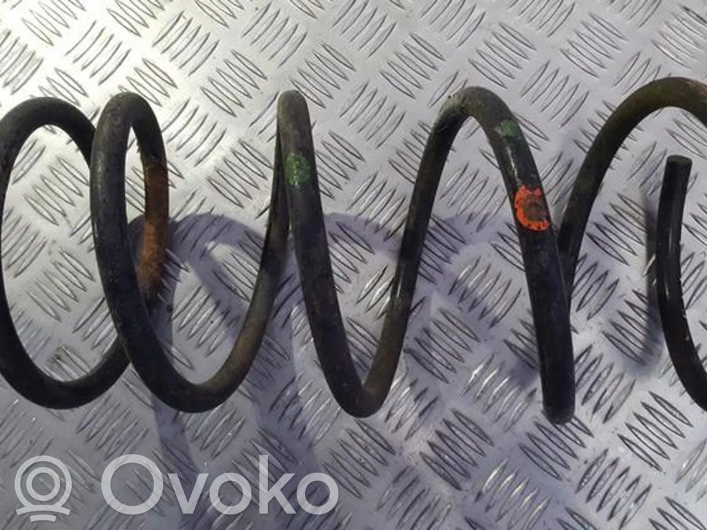 Rear coil spring