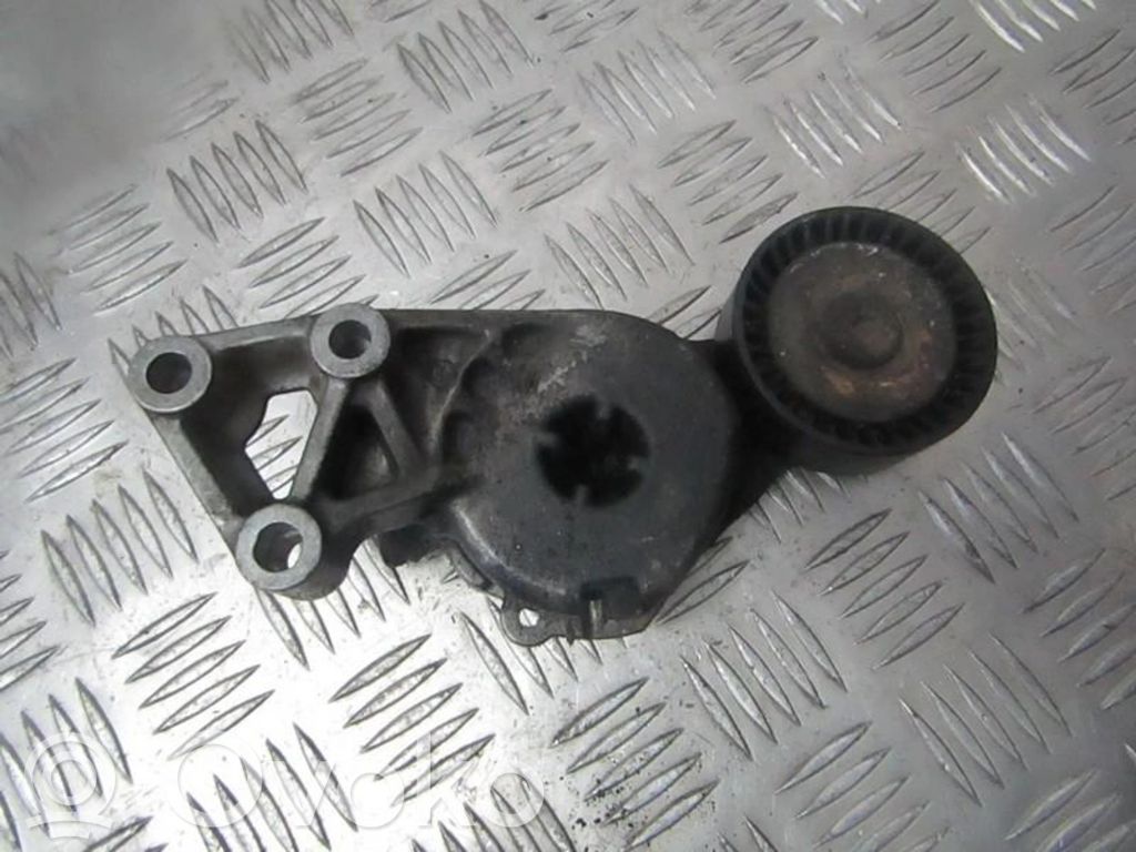 Audi A3 S3 8L Întinzător curea generator/alternator 