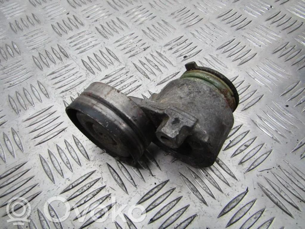 Renault Laguna II Întinzător curea generator/alternator 