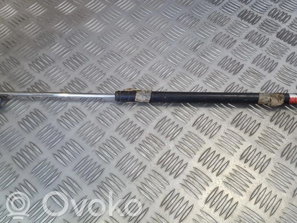 Tailgate/trunk strut/damper