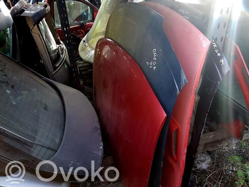 Engine bonnet/hood   VYSNINIS,VYSNINIS