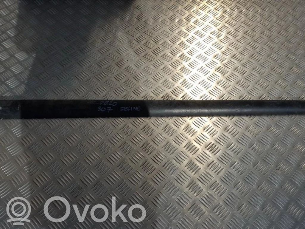 Peugeot 307 Rivestimento della portiera anteriore (modanatura) 