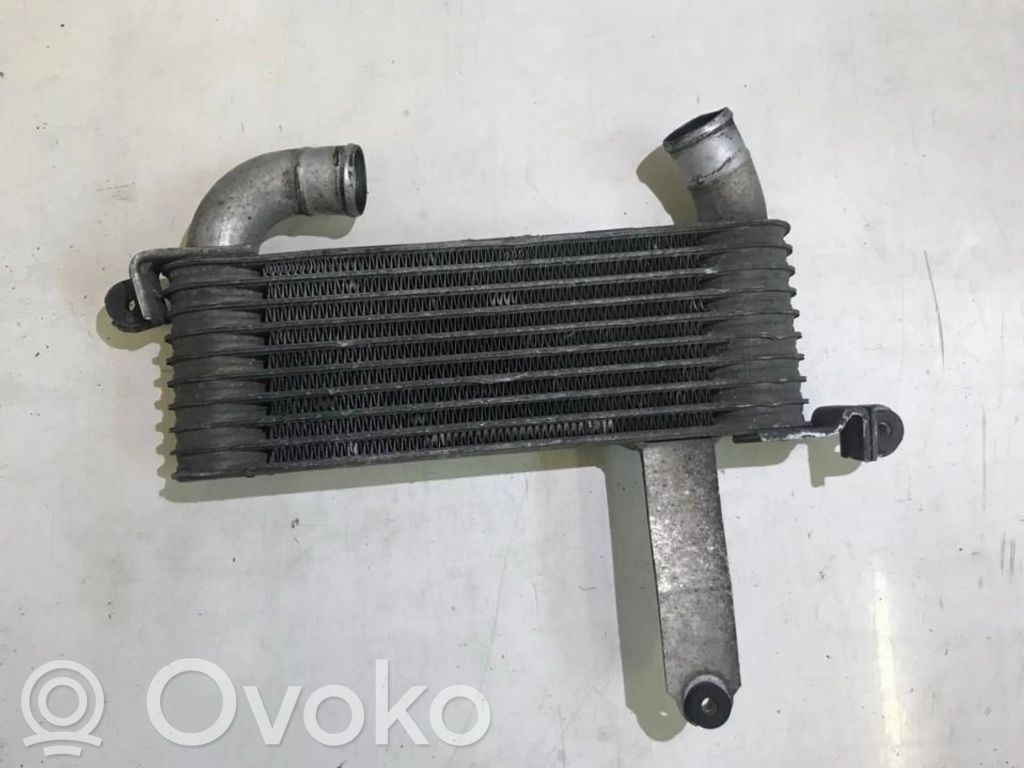 Hyundai Matrix Radiador intercooler 