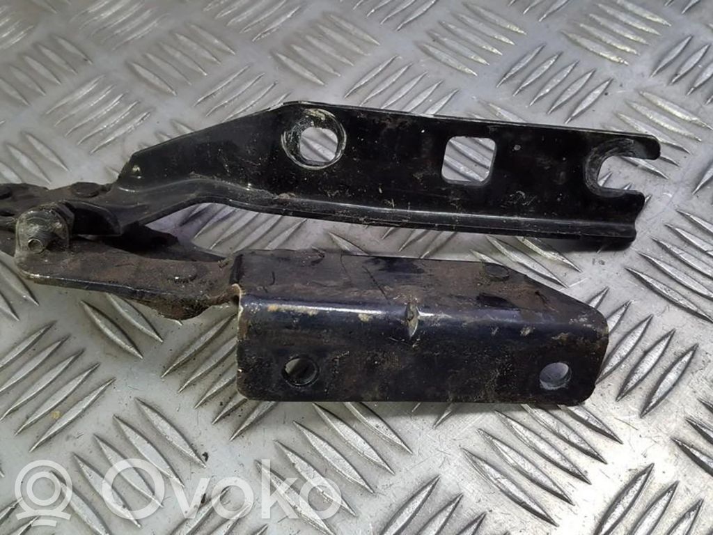 Volkswagen Golf V Cerniere del vano motore/cofano