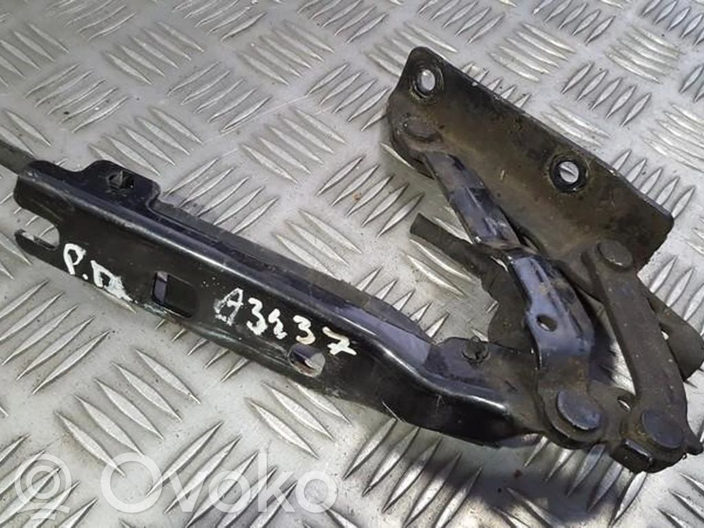 Volkswagen Golf V Cerniere del vano motore/cofano
