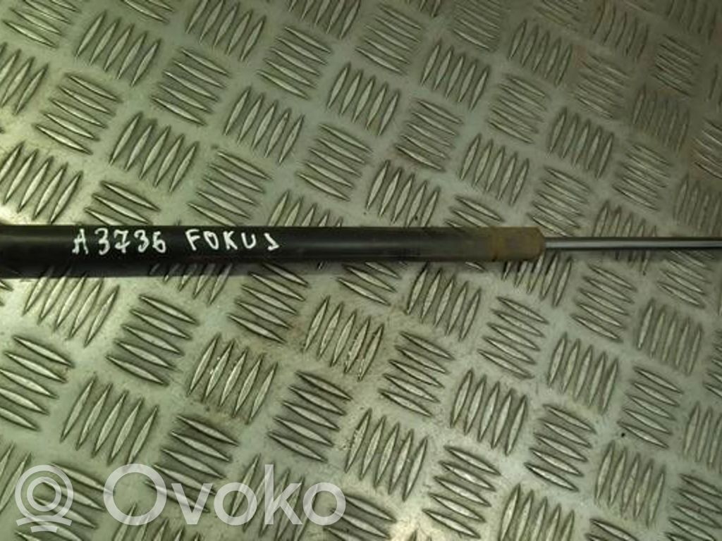 Ford Focus Amortizor hayon 