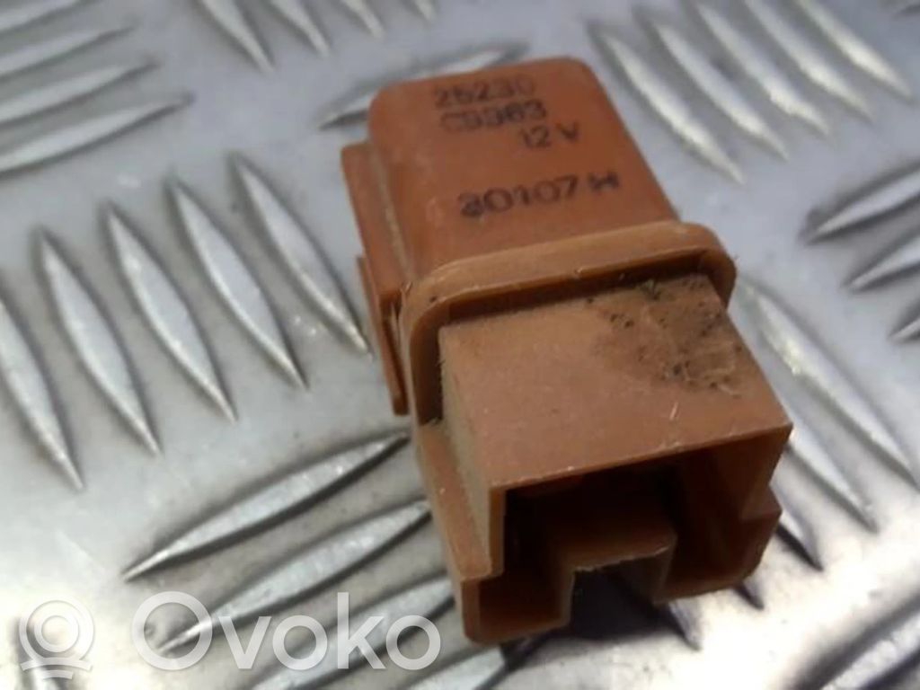 Nissan Terrano Alte relee