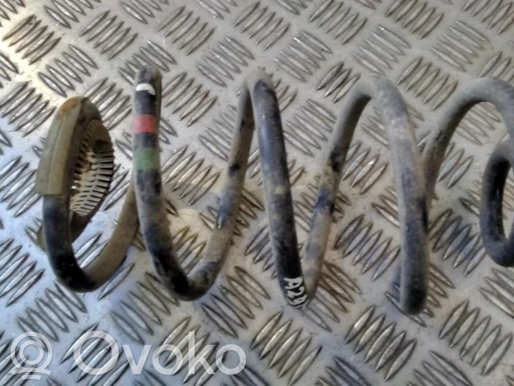 Rear coil spring
