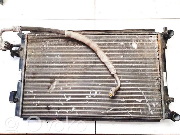 Volkswagen Golf V Radiator lichid răcire 