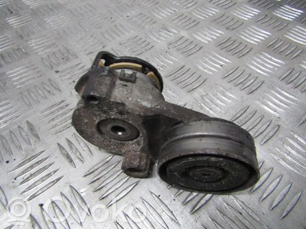 Tendicinghia generatore/alternatore   55556090AZ,55556090AZ