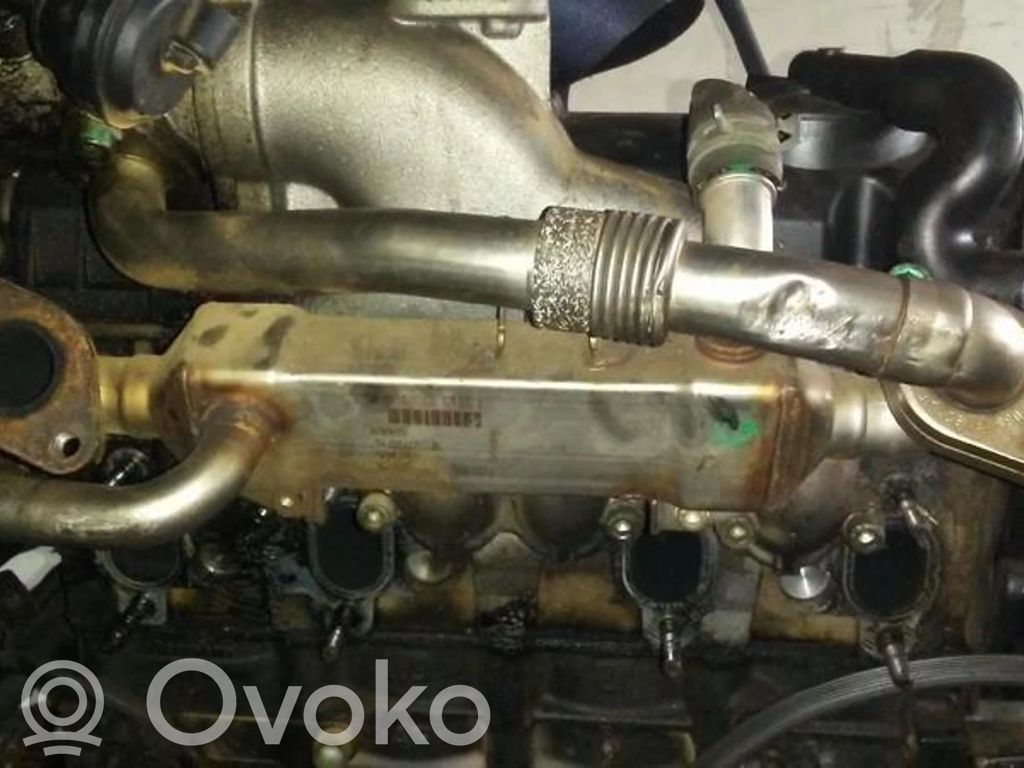 Seat Alhambra (Mk1) Valvola di raffreddamento EGR