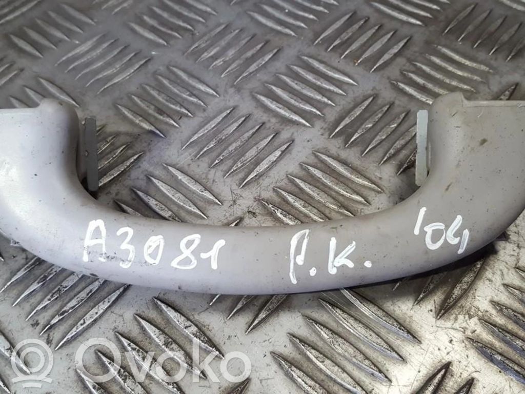 Haltegriff vorne   98ABA045C96,4685282,4685282,98ABA045C96