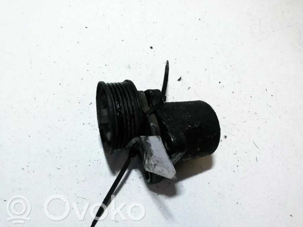 Ford Mondeo Mk III Napinacz paska alternatora 