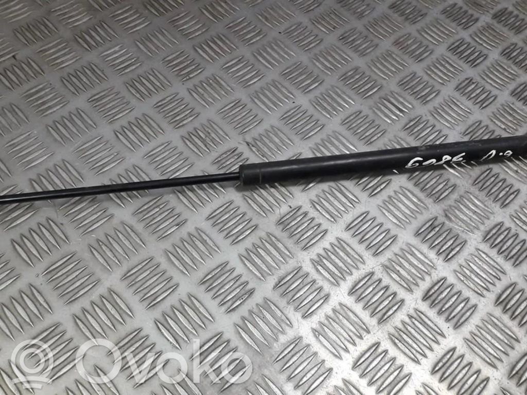 Tailgate/trunk strut/damper