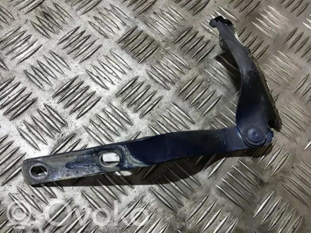 Volkswagen Vento Cerniere del vano motore/cofano