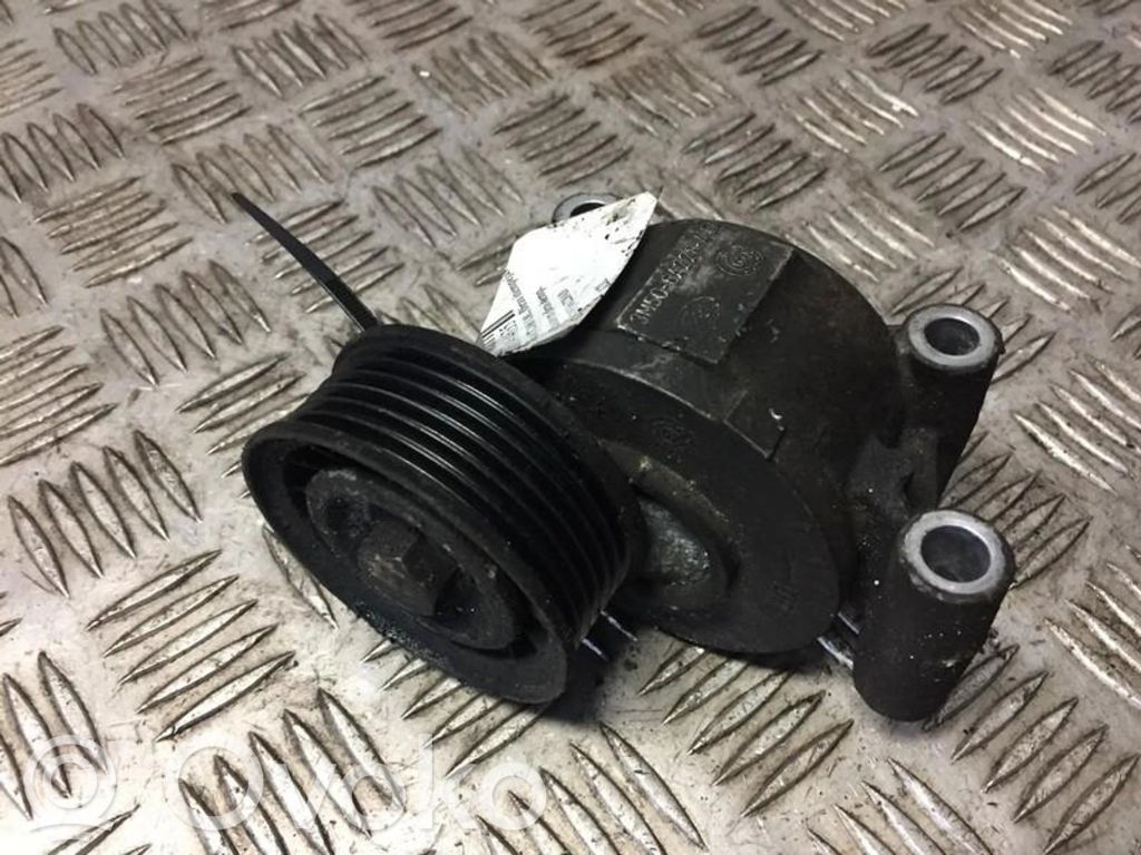 Volvo V50 Tendicinghia generatore/alternatore