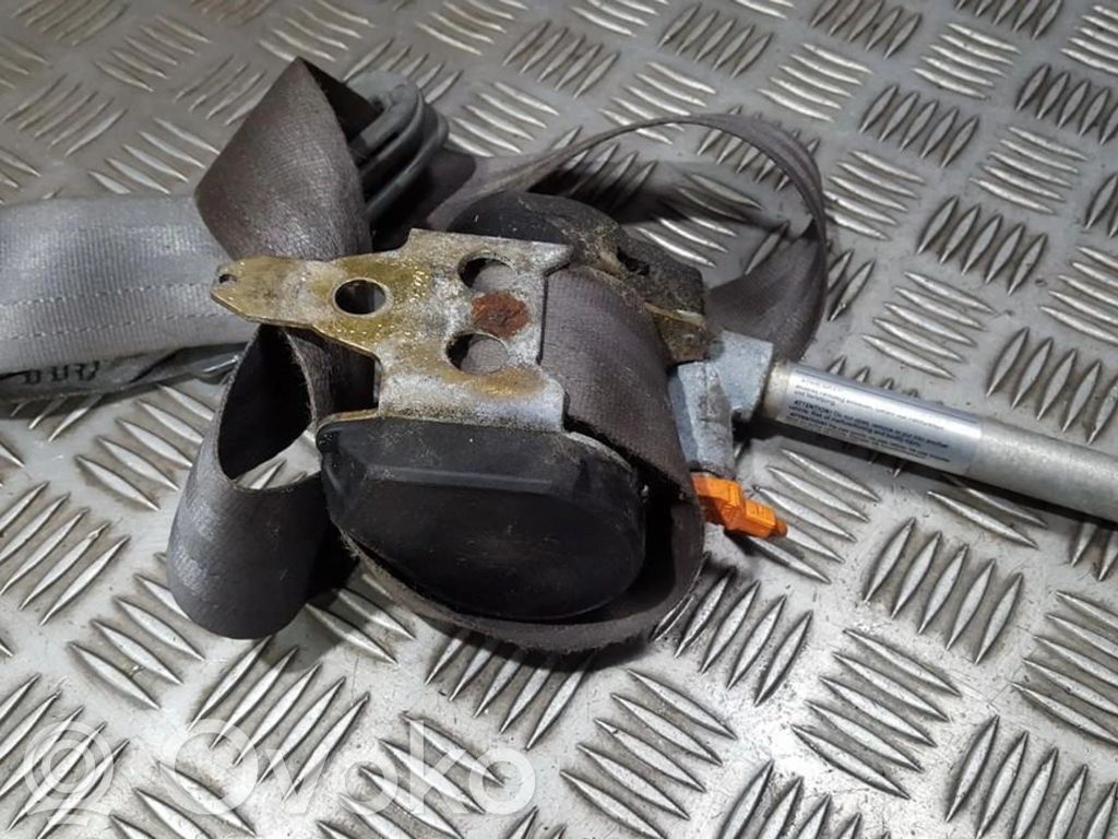Cinturón delantero   20495,20495
