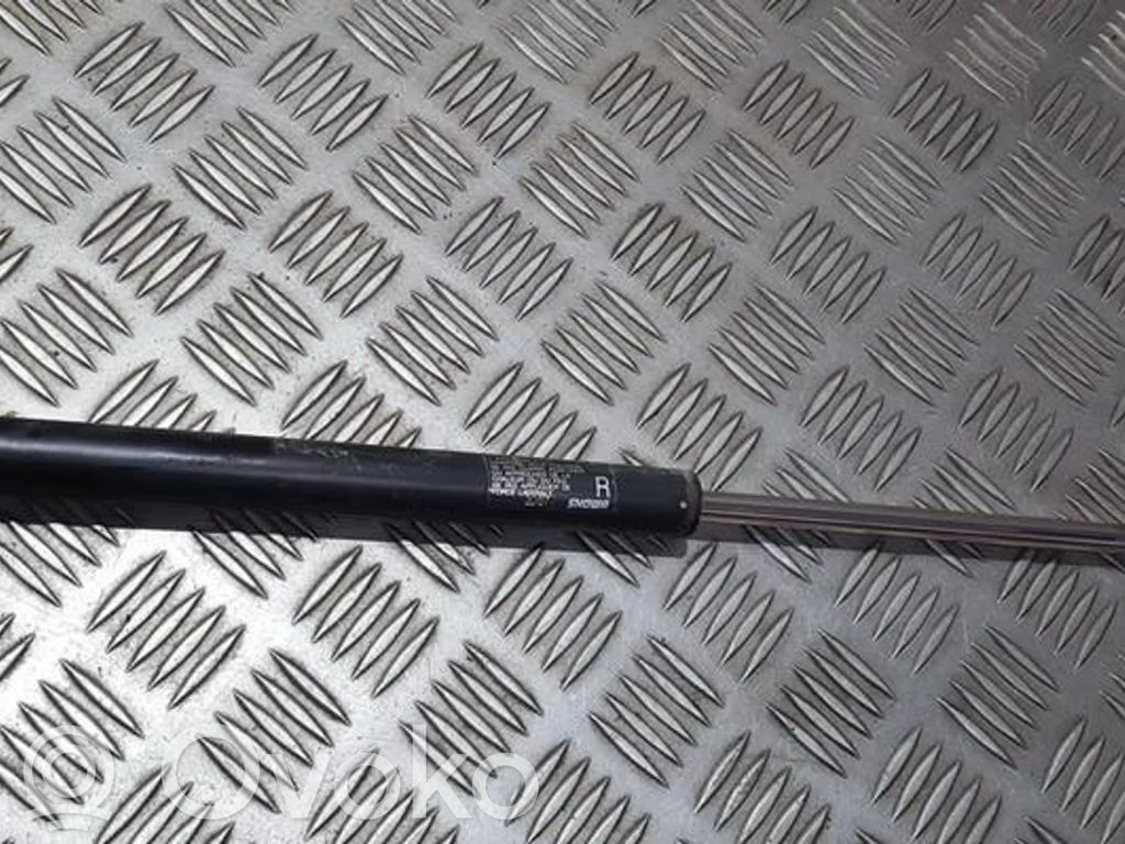 Tailgate/trunk strut/damper   3D07,3D07