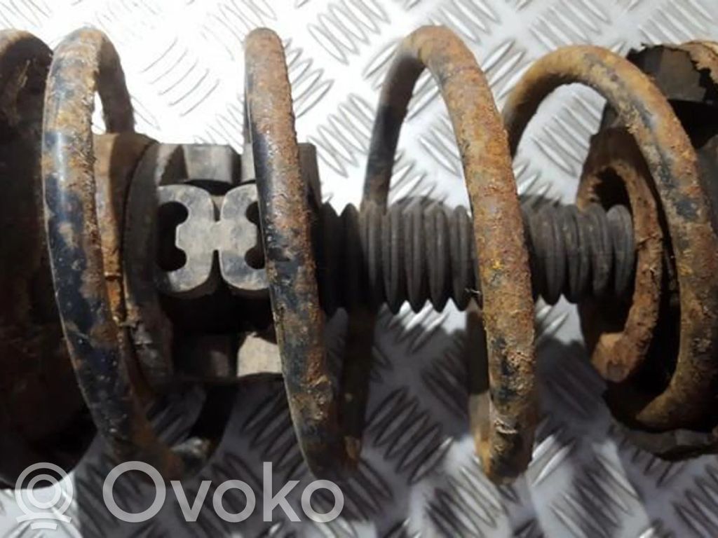 Front coil spring