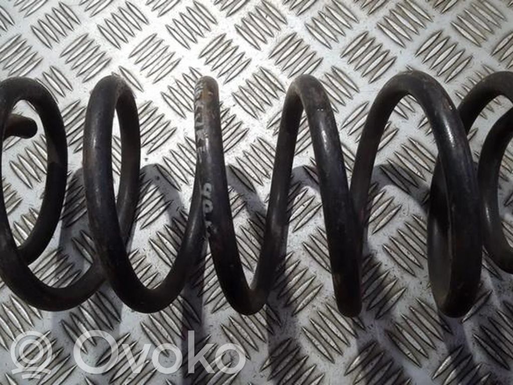 Rear coil spring