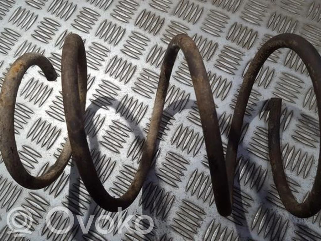Rear coil spring