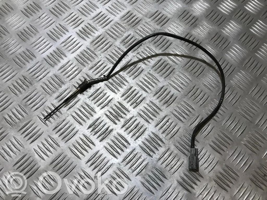 Abgastemperatursensor   226401632R,226401632R