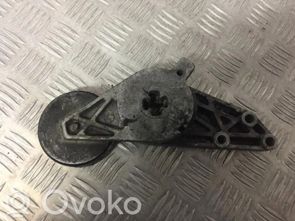 Volkswagen PASSAT B5.5 Tendicinghia generatore/alternatore 
