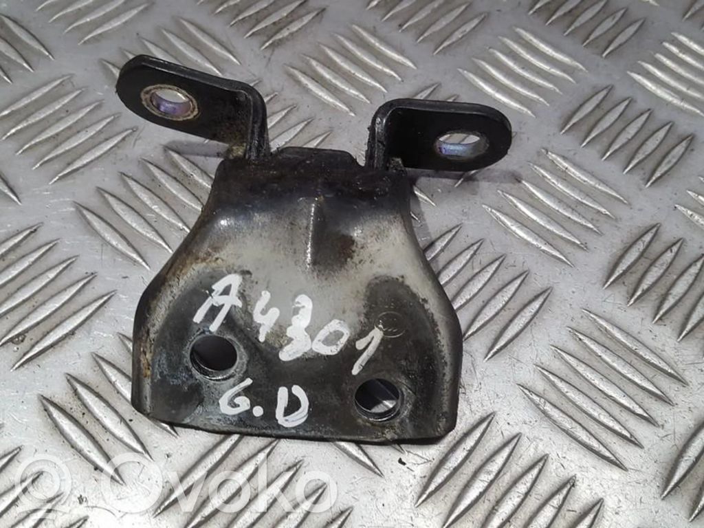 Rear door lower hinge