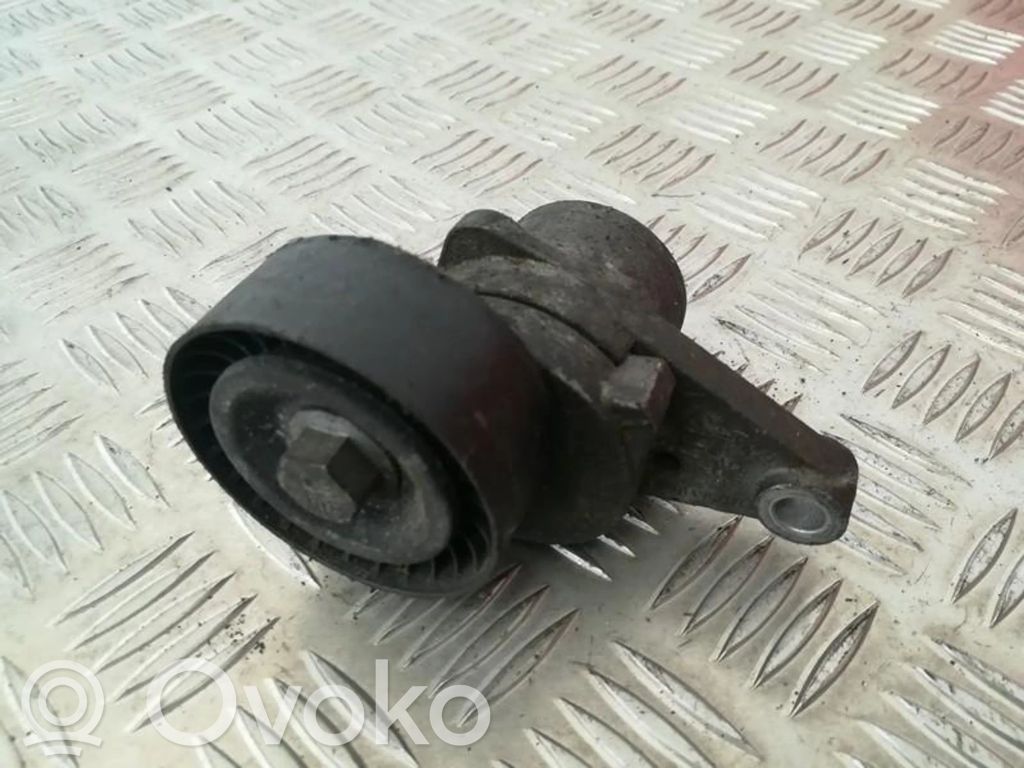 Peugeot 307 Diržo įtempėjas 