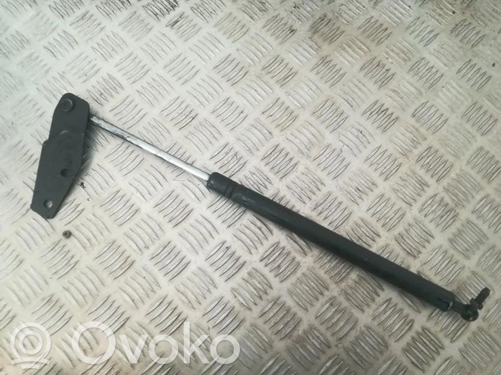Tailgate/trunk strut/damper