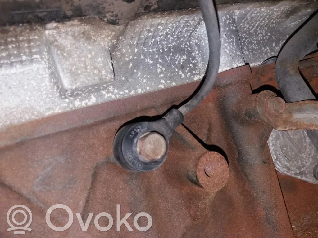 Detonacinis daviklis
