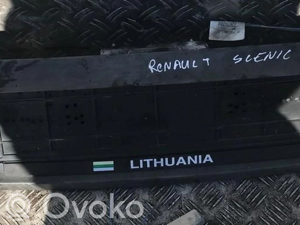 Renault Scenic I Éclairage de plaque d'immatriculation